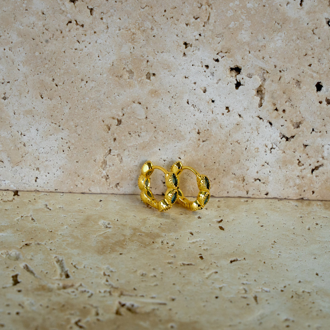 Envy Hoops